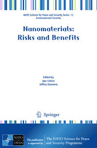 Vorderes Coverbild Nanomaterials
