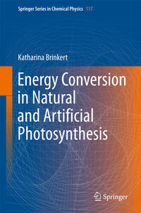 Vorderes Coverbild Energy Conversion in Natural and Artificial Photosynthesis