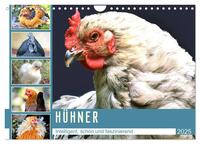 Vorderes Coverbild Hühner. Intelligent, schön und faszinierend (Wandkalender 2025 DIN A4 quer), CALVENDO Monatskalender