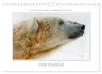 Vorderes Coverbild Emotionale Momente: Der Eisbär. (Wandkalender 2026 DIN A4 quer), CALVENDO Monatskalender