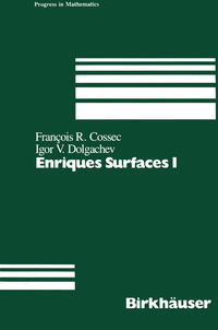 Vorderes Coverbild Enriques Surfaces I