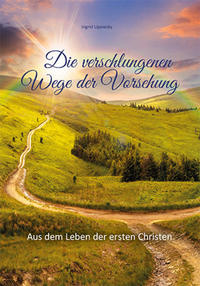 Vorderes Coverbild Die verschlungenen Wege der Vorsehung