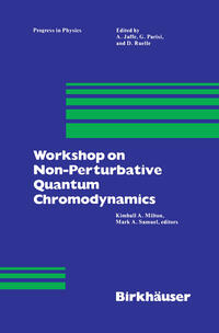 Vorderes Coverbild Workshop on Non-Perturbative Quantum Chromodynamics