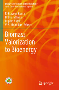 Vorderes Coverbild Biomass Valorization to Bioenergy
