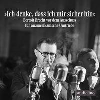 Vorderes Coverbild »Ich denke, dass ich mir sicher bin«
