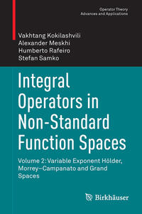 Vorderes Coverbild Integral Operators in Non-Standard Function Spaces