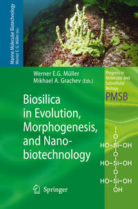 Vorderes Coverbild Biosilica in Evolution, Morphogenesis, and Nanobiotechnology