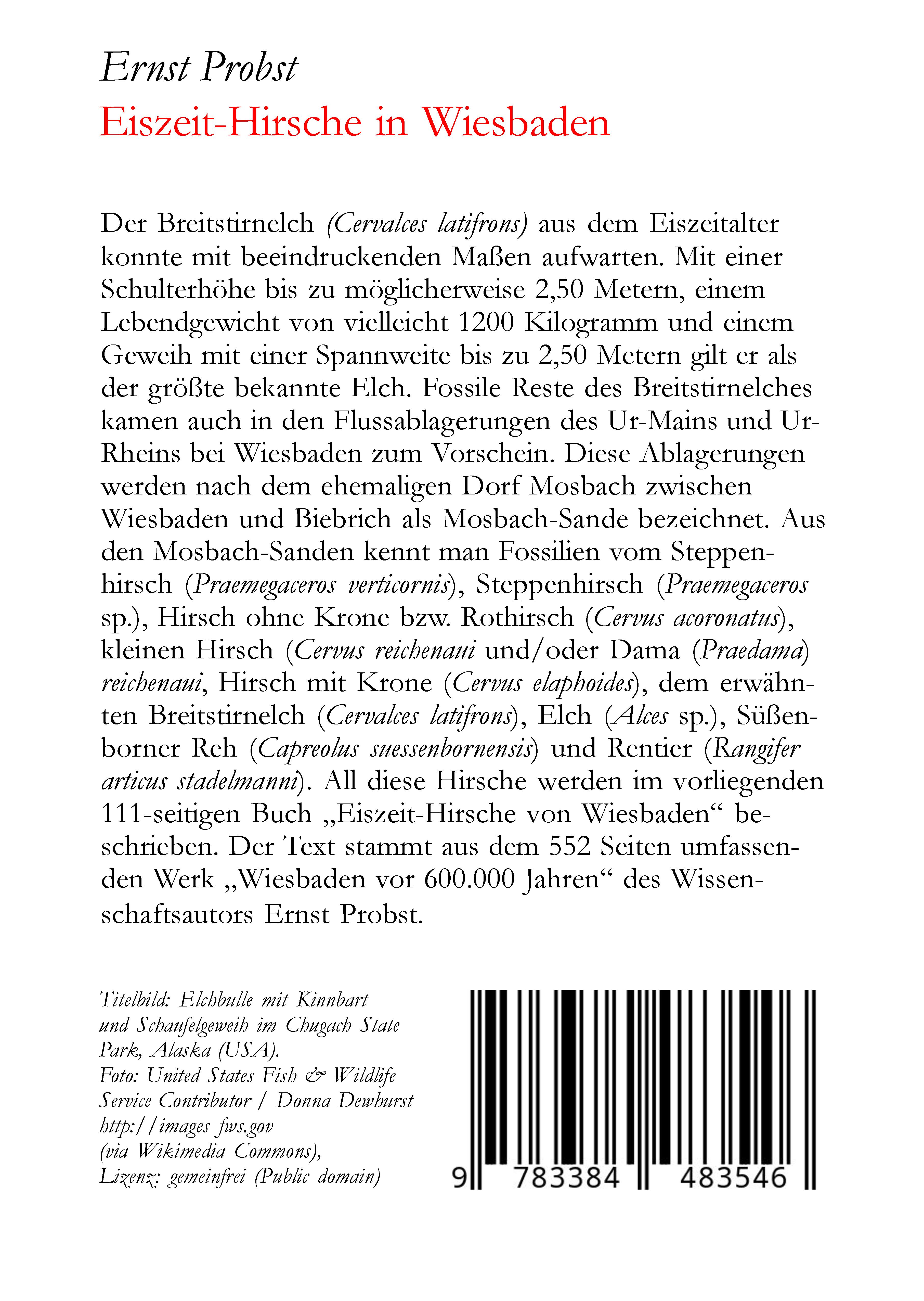 Rückseitencover Eiszeit-Hirsche in Wiesbaden
