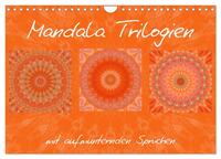 Vorderes Coverbild Mandala Trilogien (Wandkalender 2025 DIN A4 quer), CALVENDO Monatskalender