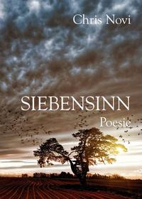 Vorderes Coverbild Siebensinn