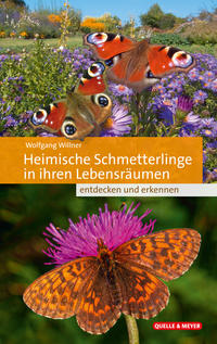 Vorderes Coverbild Heimische Schmetterlinge in ihren Lebensräumen