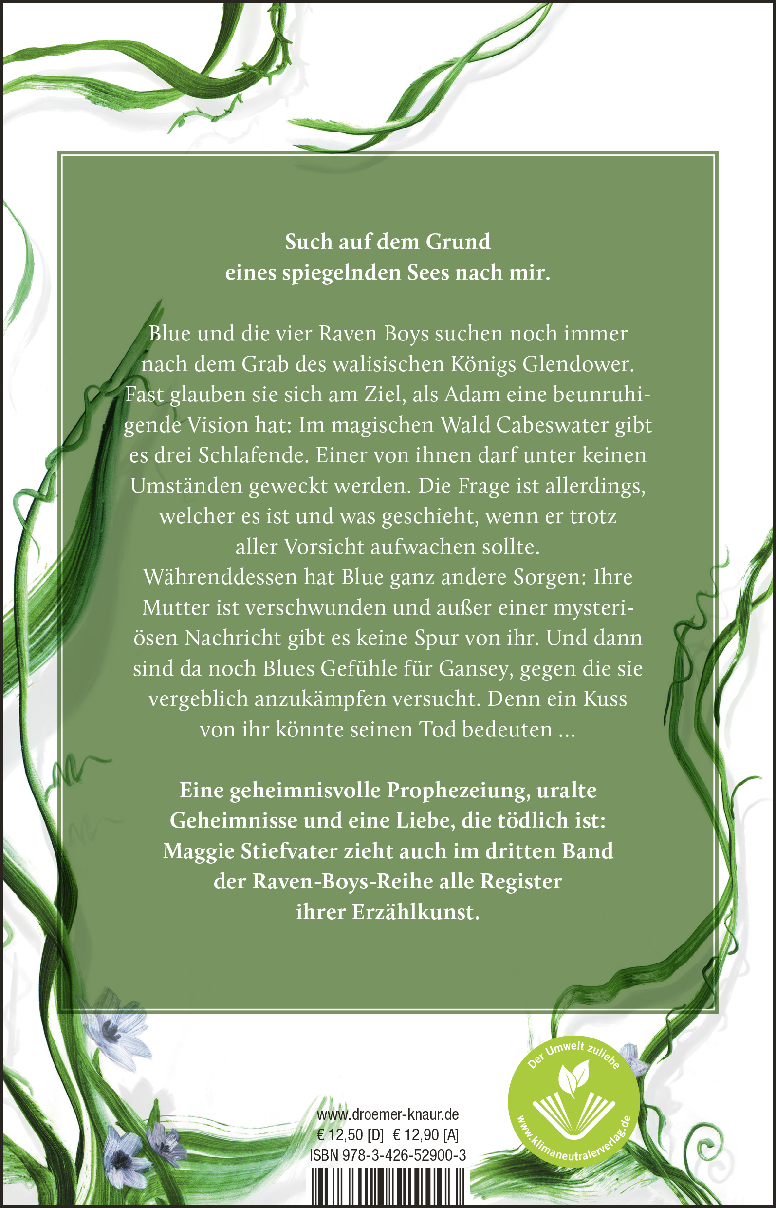Rückseitencover Was die Spiegel wissen