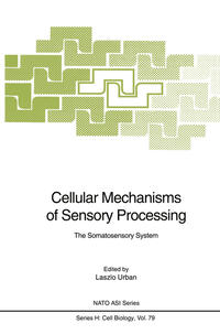 Vorderes Coverbild Cellular Mechanisms of Sensory Processing