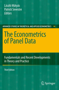 Vorderes Coverbild The Econometrics of Panel Data