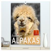 Vorderes Coverbild Lustige Alpakas (hochwertiger Premium Wandkalender 2025 DIN A2 hoch), Kunstdruck in Hochglanz