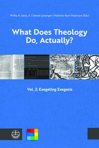 Vorderes Coverbild What Does Theology Do, Actually?