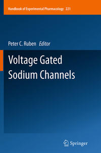 Vorderes Coverbild Voltage Gated Sodium Channels