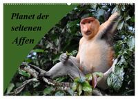 Vorderes Coverbild Planet der seltenen Affen (Wandkalender 2025 DIN A2 quer), CALVENDO Monatskalender