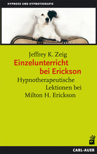 Vorderes Coverbild Einzelunterricht bei Erickson