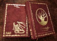Vorderes Coverbild Im Schatten der Hexen IV