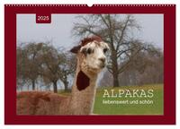 Vorderes Coverbild Alpakas - liebenswert und schön (Wandkalender 2025 DIN A2 quer), CALVENDO Monatskalender