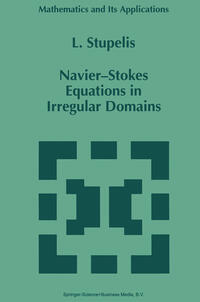 Vorderes Coverbild Navier-Stokes Equations in Irregular Domains