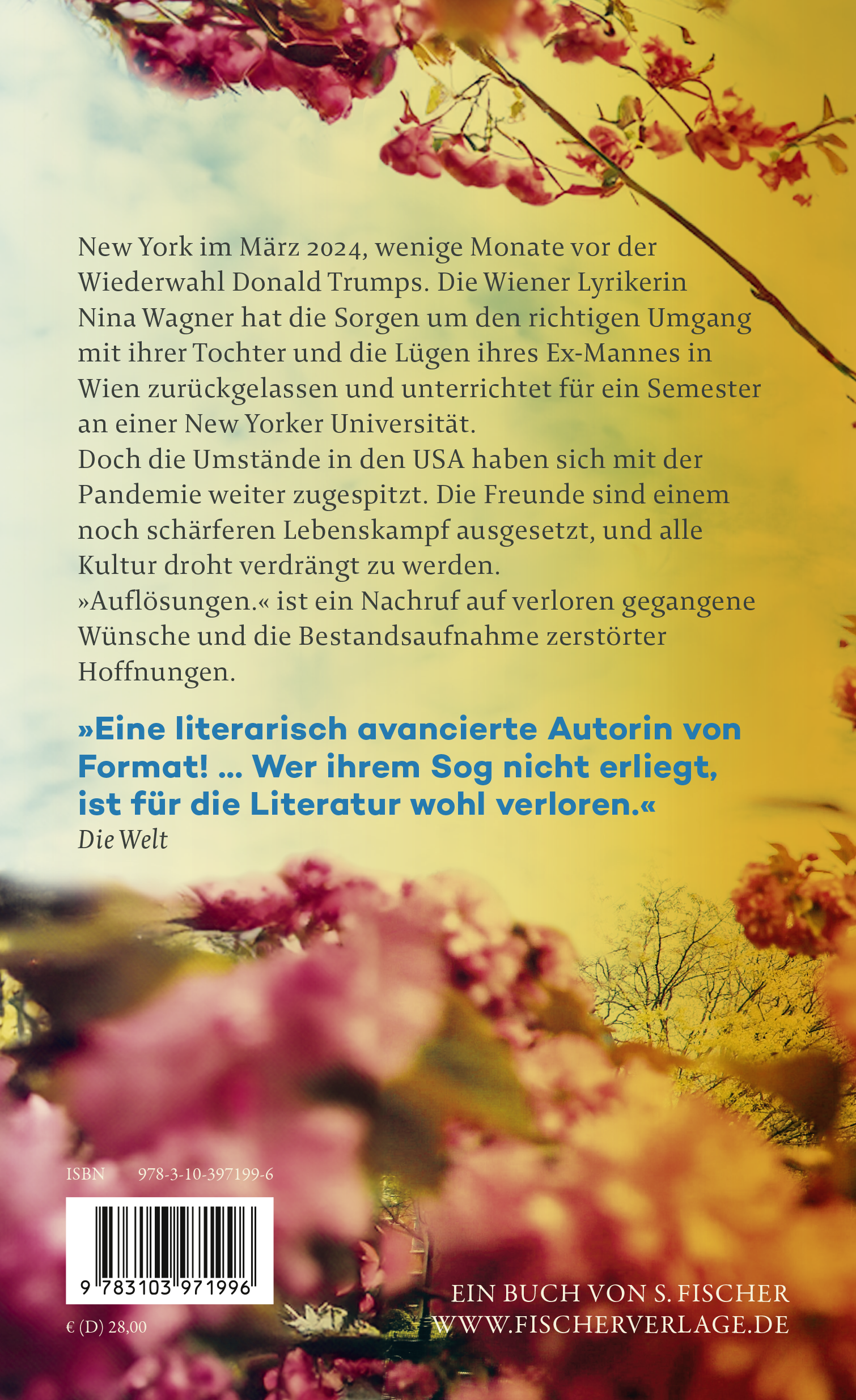 Rückseitencover Auflösungen.