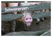 Vorderes Coverbild Schweinereien (Wandkalender 2025 DIN A4 quer), CALVENDO Monatskalender