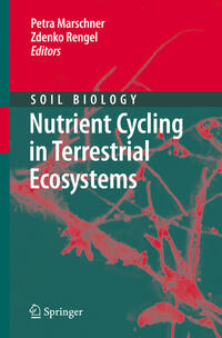 Vorderes Coverbild Nutrient Cycling in Terrestrial Ecosystems