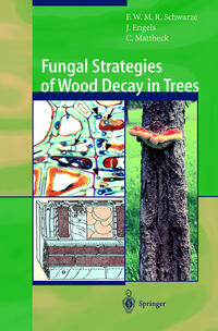 Vorderes Coverbild Fungal Strategies of Wood Decay in Trees