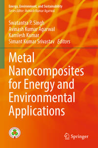 Vorderes Coverbild Metal Nanocomposites for Energy and Environmental Applications