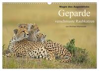 Vorderes Coverbild Magie des Augenblicks - Geparde - verschmuste Raubkatzen (Wandkalender 2025 DIN A3 quer), CALVENDO Monatskalender