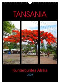 Vorderes Coverbild TANSANIA - Kunterbuntes Afrika (Wandkalender 2025 DIN A3 hoch), CALVENDO Monatskalender