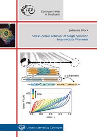 Vorderes Coverbild Stress-Strain Behavior of Single Vimentin Intermediate Filament