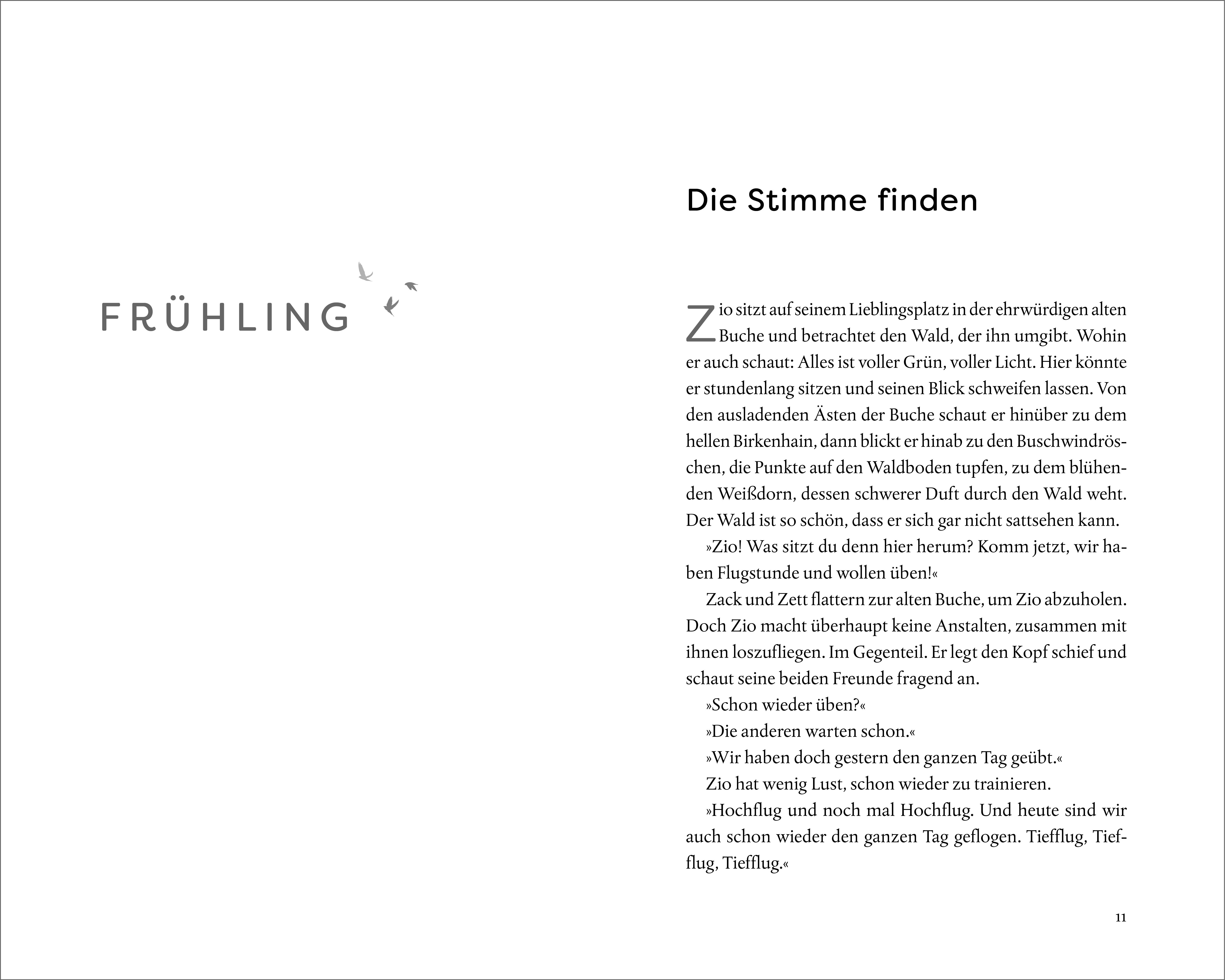 Beispielinhalt (Bild) Hundert Himmel