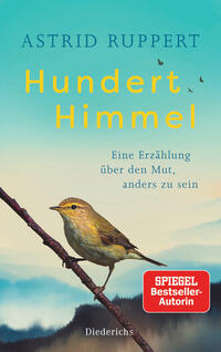 Vorderes Coverbild Hundert Himmel