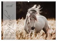 Vorderes Coverbild Pferde - Spiegel deiner Seele (Wandkalender 2026 DIN A2 quer), CALVENDO Monatskalender