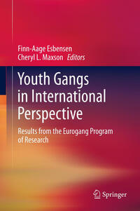 Vorderes Coverbild Youth Gangs in International Perspective