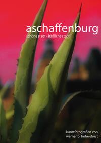 Vorderes Coverbild Aschaffenburg