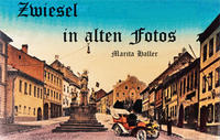 Vorderes Coverbild Zwiesel in alten Fotos