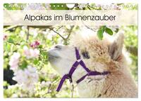 Vorderes Coverbild Alpakas im Blumenzauber (Wandkalender 2025 DIN A4 quer), CALVENDO Monatskalender