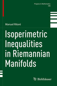 Vorderes Coverbild Isoperimetric Inequalities in Riemannian Manifolds
