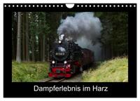 Vorderes Coverbild Dampferlebnis im Harz (Wandkalender 2025 DIN A4 quer), CALVENDO Monatskalender