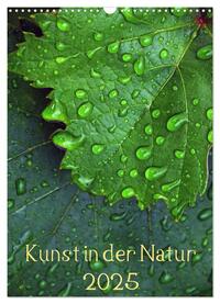 Vorderes Coverbild Kunst in der Natur (Wandkalender 2025 DIN A3 hoch), CALVENDO Monatskalender