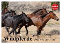 Vorderes Coverbild Wildpferde. Frei wie der Wind (Wandkalender 2025 DIN A2 quer), CALVENDO Monatskalender
