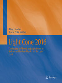 Vorderes Coverbild Light Cone 2016