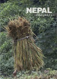 Vorderes Coverbild NEPAL »Sherpa & Co.«