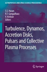 Vorderes Coverbild Turbulence, Dynamos, Accretion Disks, Pulsars and Collective Plasma Processes