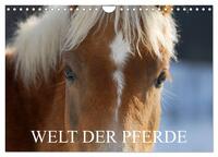Vorderes Coverbild Welt der Pferde (Wandkalender 2025 DIN A4 quer), CALVENDO Monatskalender