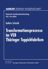 Vorderes Coverbild Transformationsprozesse im VEB Thüringer Teppichfabriken